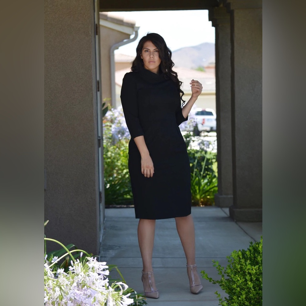 NWT Skirt Society Milan Dress in Black